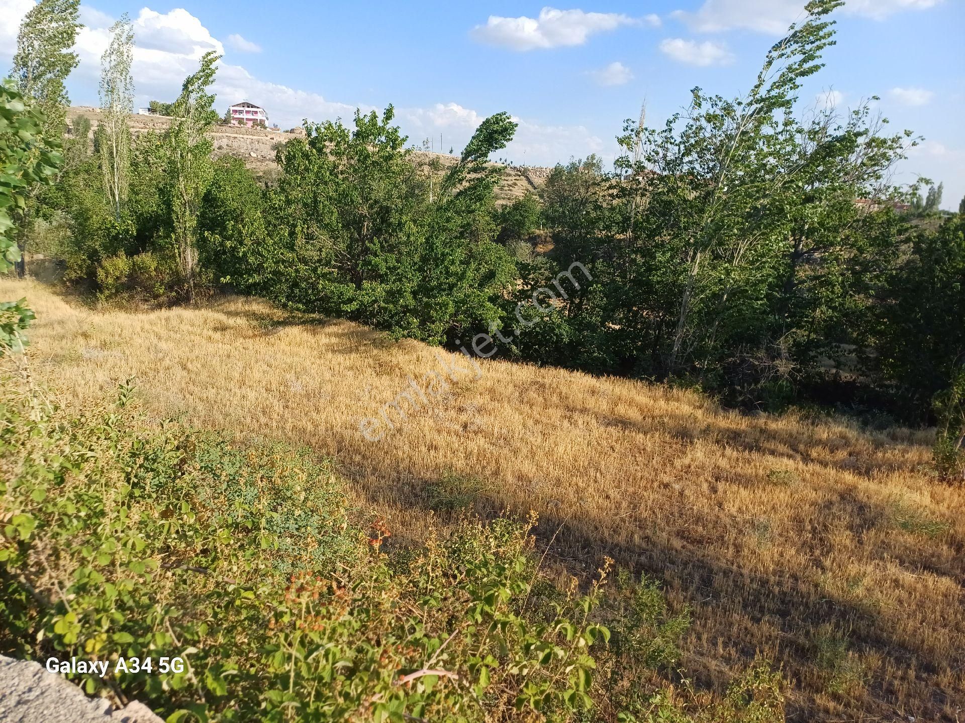 Altunhisar Aşağı Satılık Muhtelif Arsa Niğde Altunhisar da SATILIK BAHÇE 