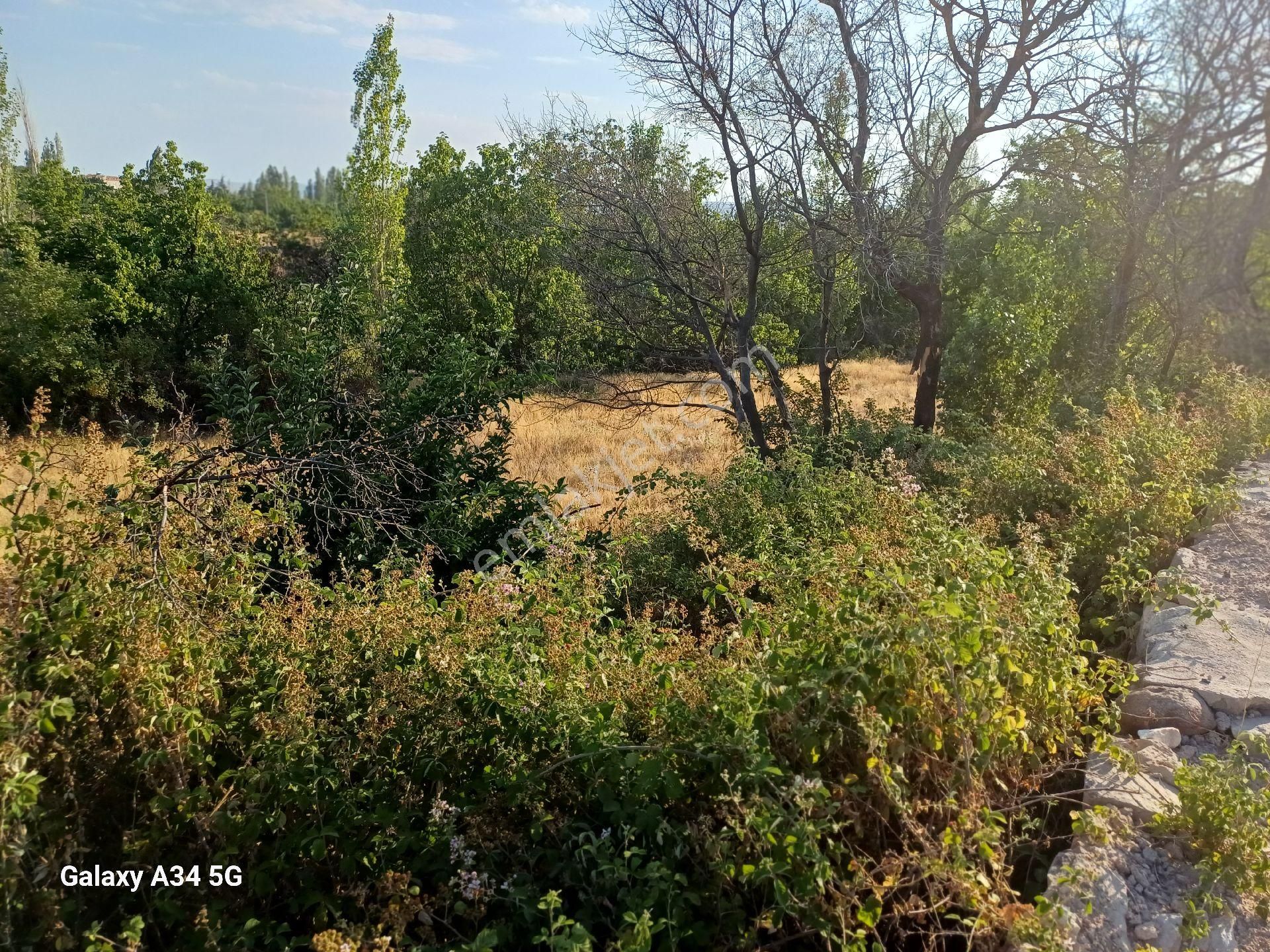 Niğde Altunhisar Da Satılık Bahçe - Görsel 10