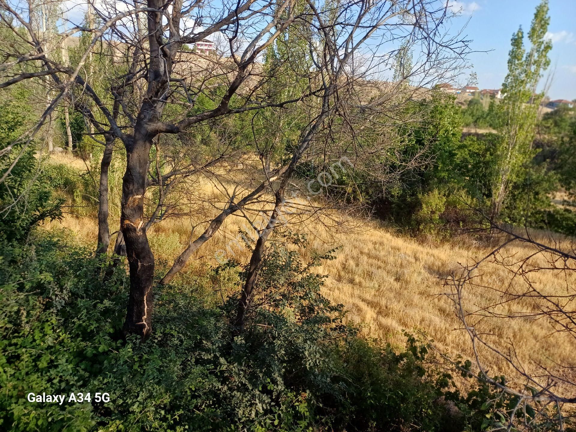 Niğde Altunhisar Da Satılık Bahçe - Görsel 8