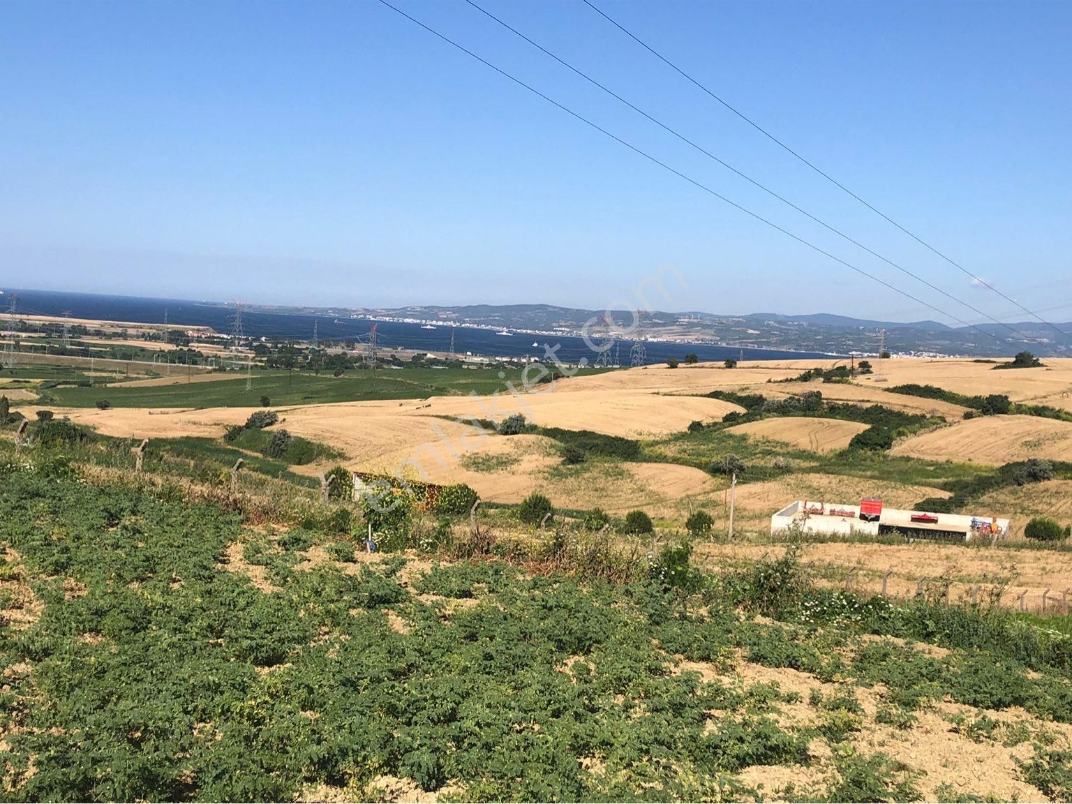 Gelibolu Bayırköy Köyü Satılık Toplu Konut İçin  GELİBOLU BAYIRKÖYDE ÇANAKKALE KÖPRÜ MANZARALI 505 M2 SATILIK ARSA 