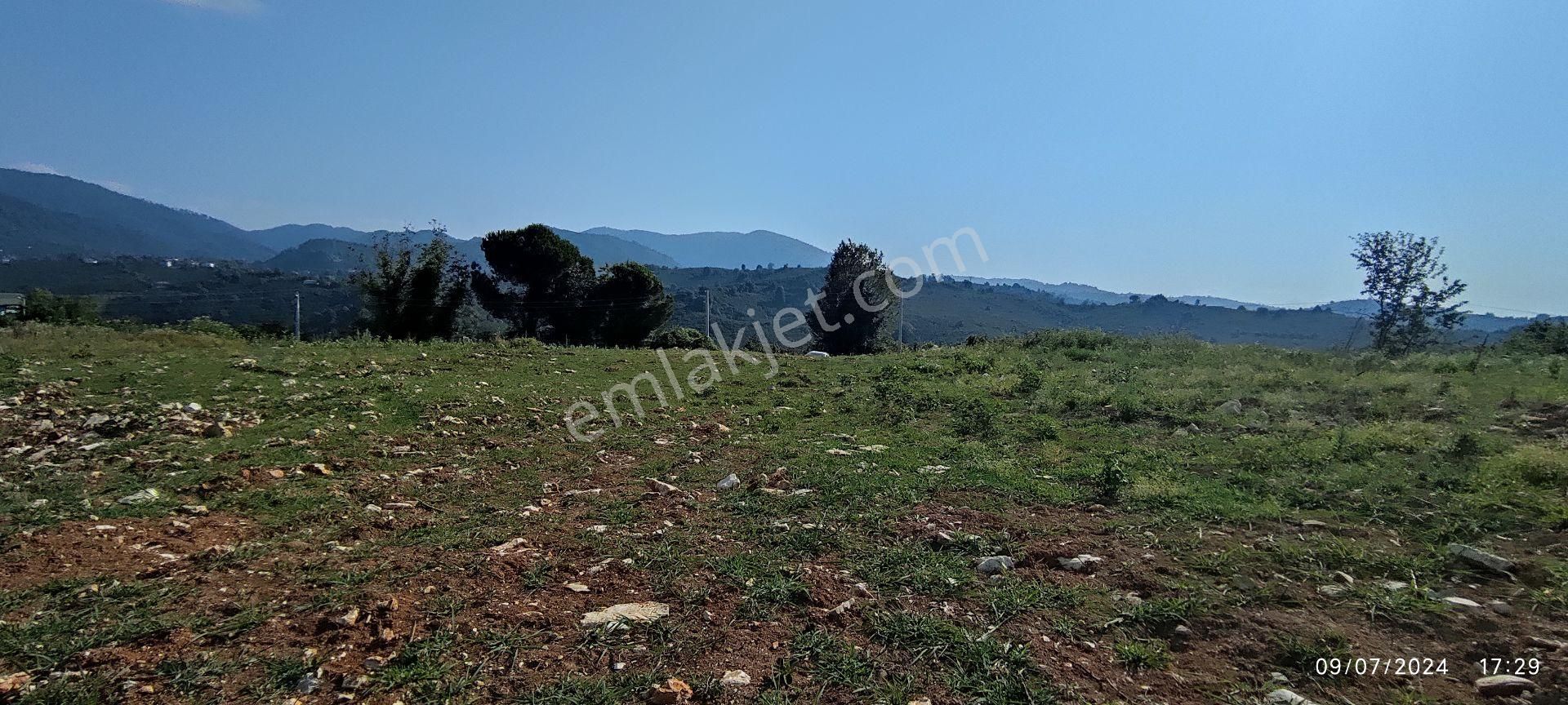 Akçakoca Göktepe Köyü Satılık Villa İmarlı Çiftlik Villa Arsa Orman Deniz