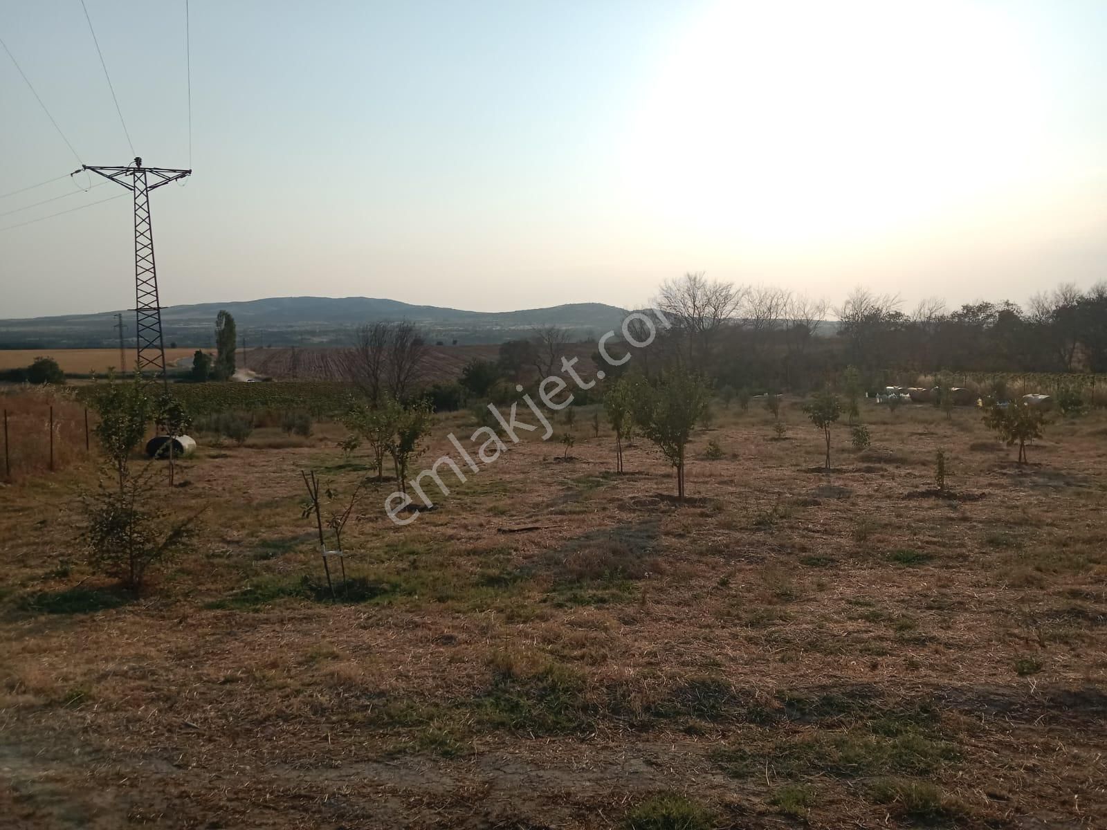 Şarköy Kızılcaterzi Satılık Tarla Yola Cepheli Burak Emlaktan