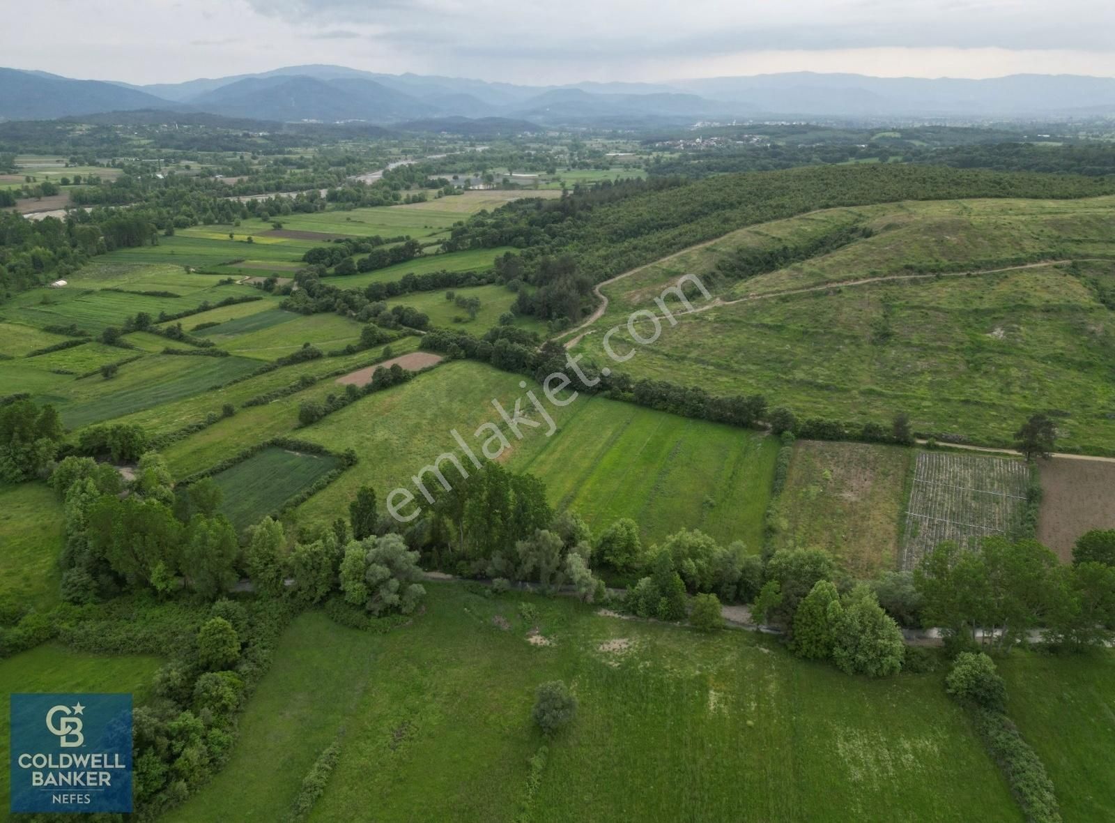 Yenice Karabey Köyü Satılık Tarla Çanakkale Yenice Karabey Köyünde 3341 M² Satılık Tarla !