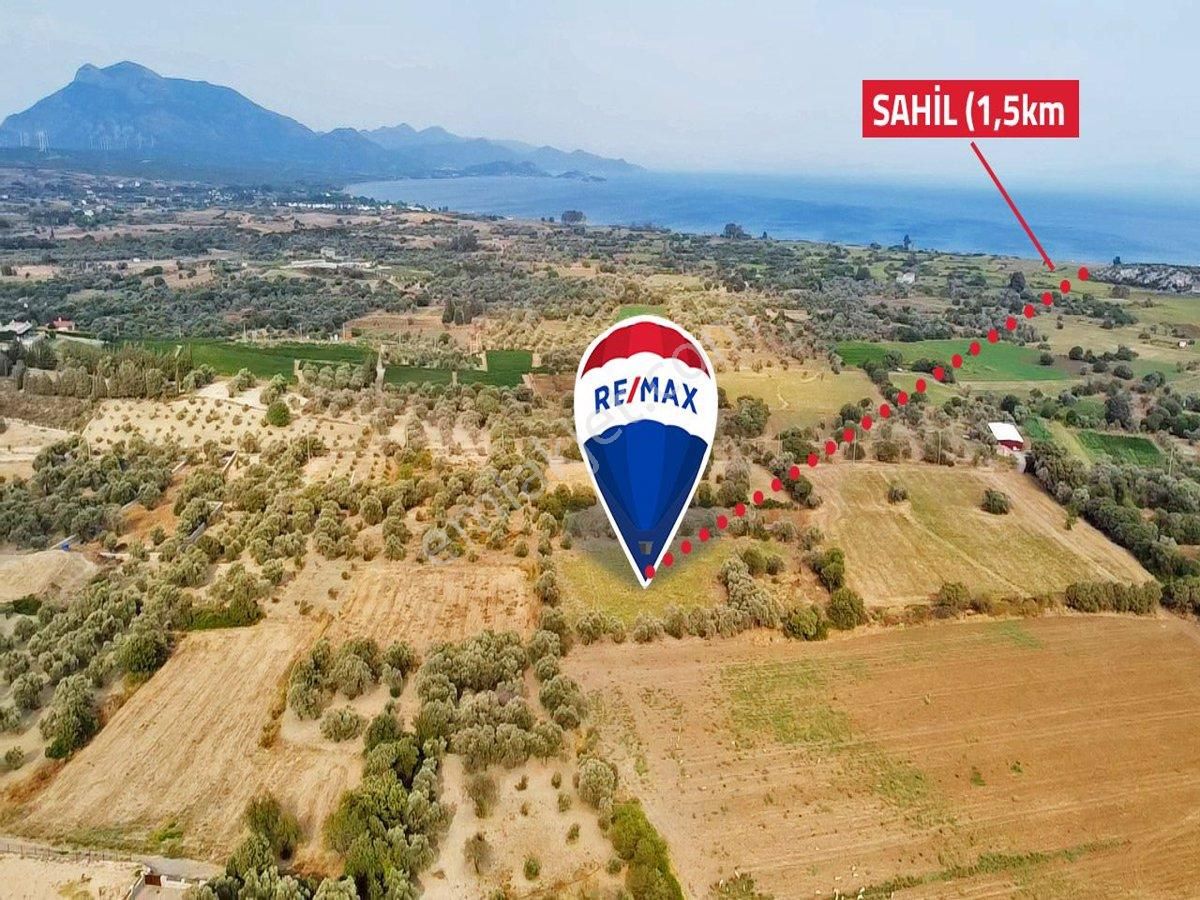 Datça Kızlan Satılık Zeytinlik RE/MAX BADEM'DEN KIZLAN MAH.  SATILIK TARLA