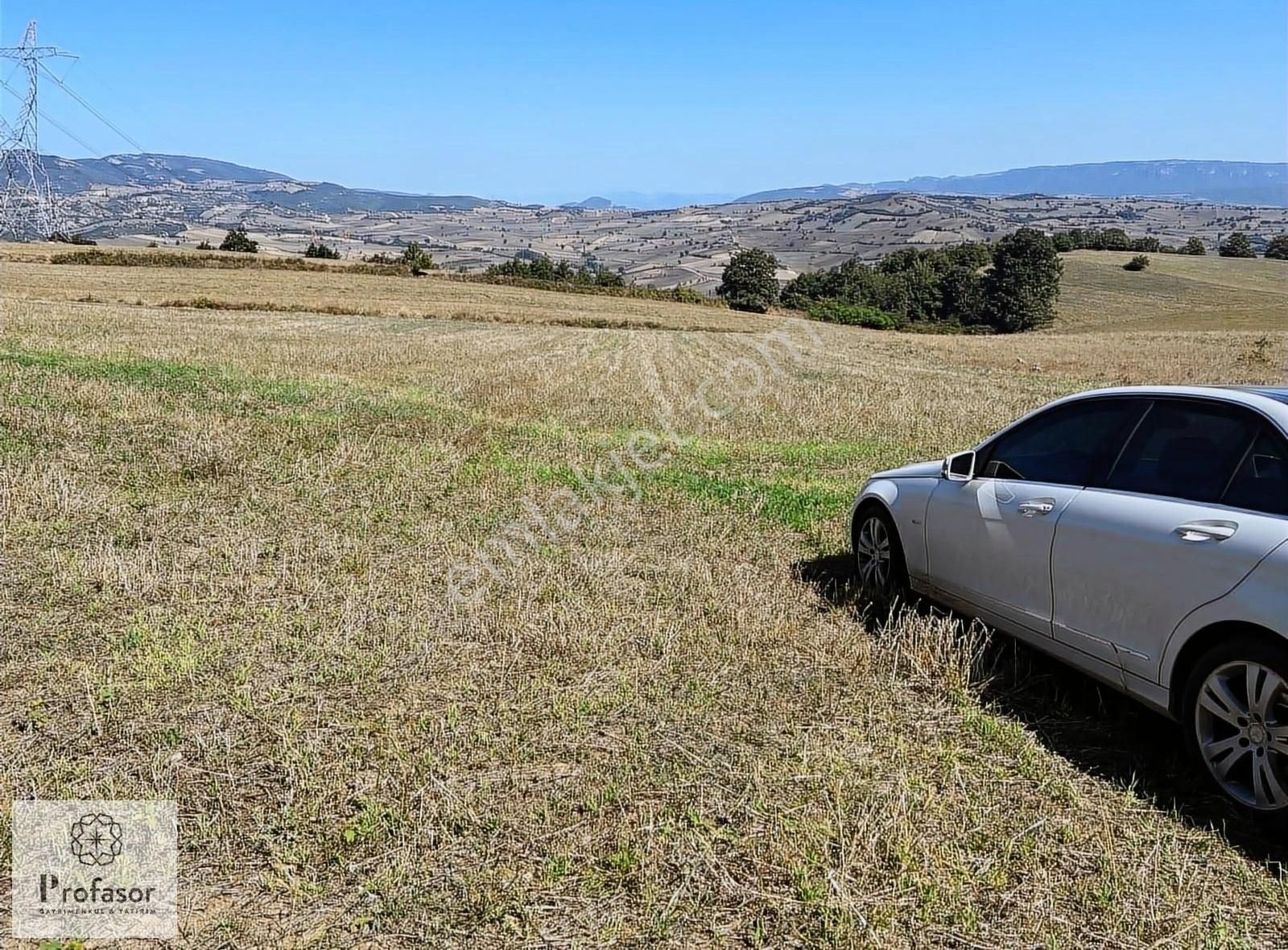 Yenişehir Çelebi Satılık Tarla Profasor Dan Satılık Yenişehir Çelebide 5910m2 Tarla Tek Tapu