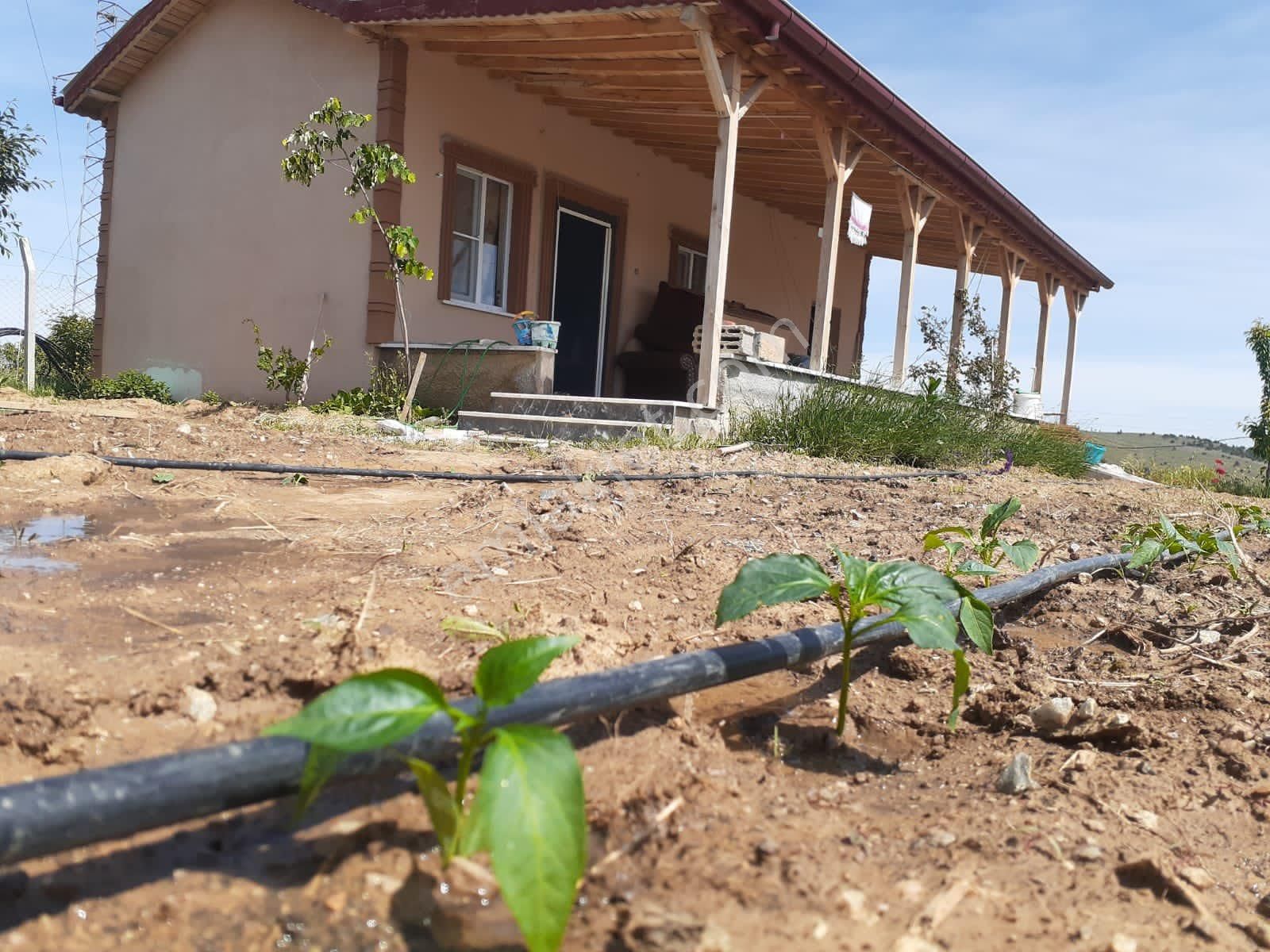 Sarayönü Kurşunlu Satılık Daire Sarayönü kurşunlu mahallesi satılık bahçe