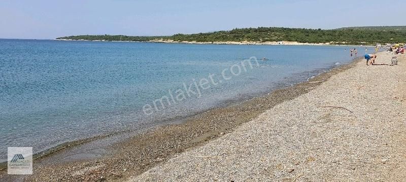 Çeşme Musalla Satılık Tarla Alaçatı Gayrimenkulden Ovacık Azmak Plajına Yakın Satılık Tarla.