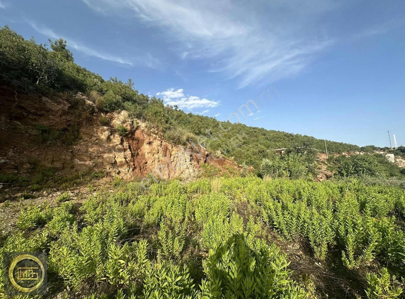 Alanya Soğukpınar Satılık Tarla ALANYA SOĞUKPINAR MAHALLESİ MASRAFSIZ BAHÇE