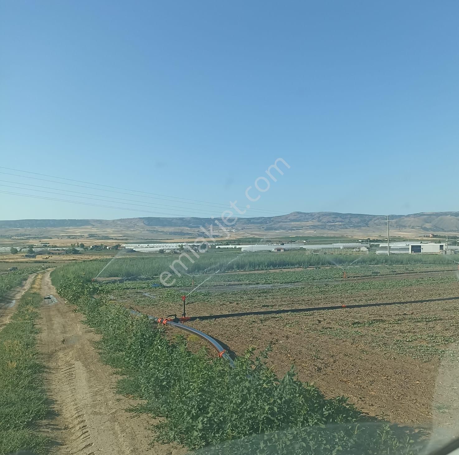 Tepebaşı Sakintepe Satılık Tarla Hatice Kara'dan Sakintepe Mh Yolu Suyu Olan Satılık Tarla