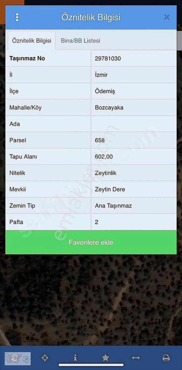 Ödemiş Bozcayaka Satılık Tarla İZMİR ÖDEMİŞ BOZCAYAKA TEK TAPU KÖYE YÜRÜME MESAFESİNDE ZEYTİNLİ