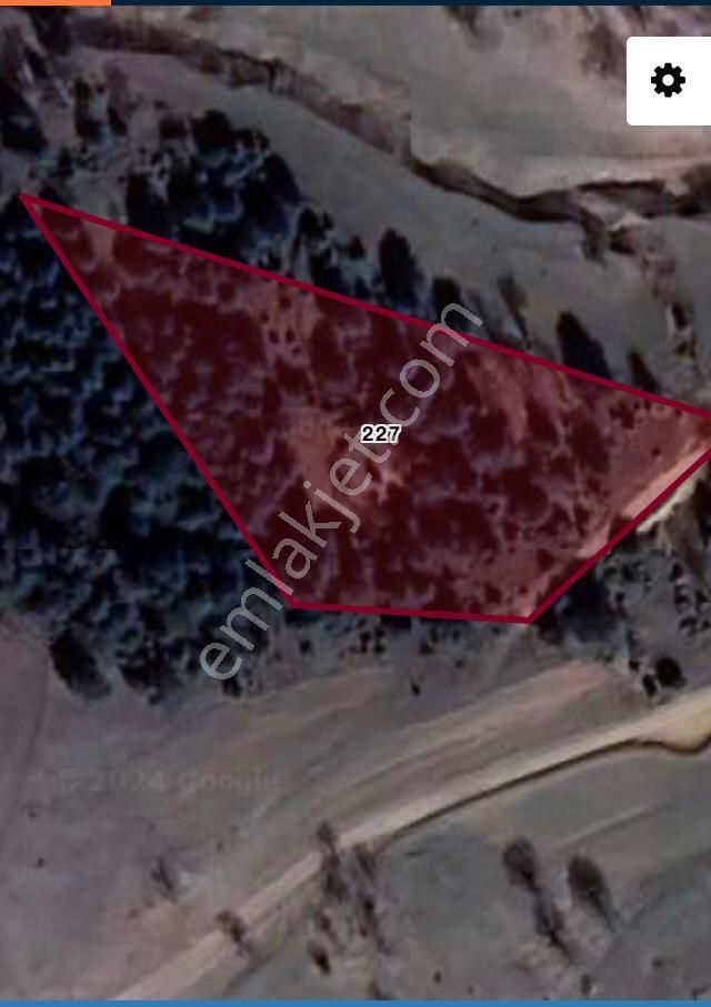 İznik İhsaniye'de Yatırımlık Satılık Arazi - Görsel 5