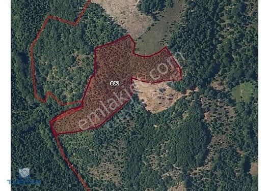 Biga Dikmen Köyü Satılık Tarla ÇANAKKALE BİGA DİKMEN KÖYÜ 26.500 M2 KUPON TARLA