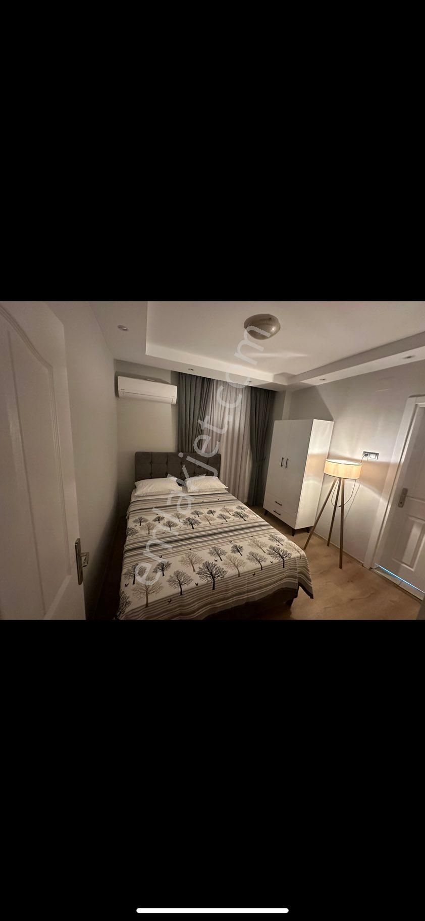 Can Suit Apart - Görsel 3