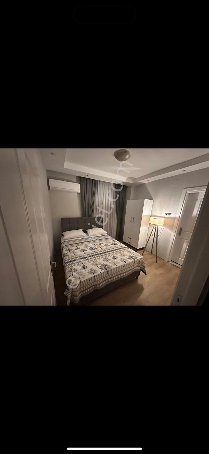 Can Suit Apart - Görsel 2