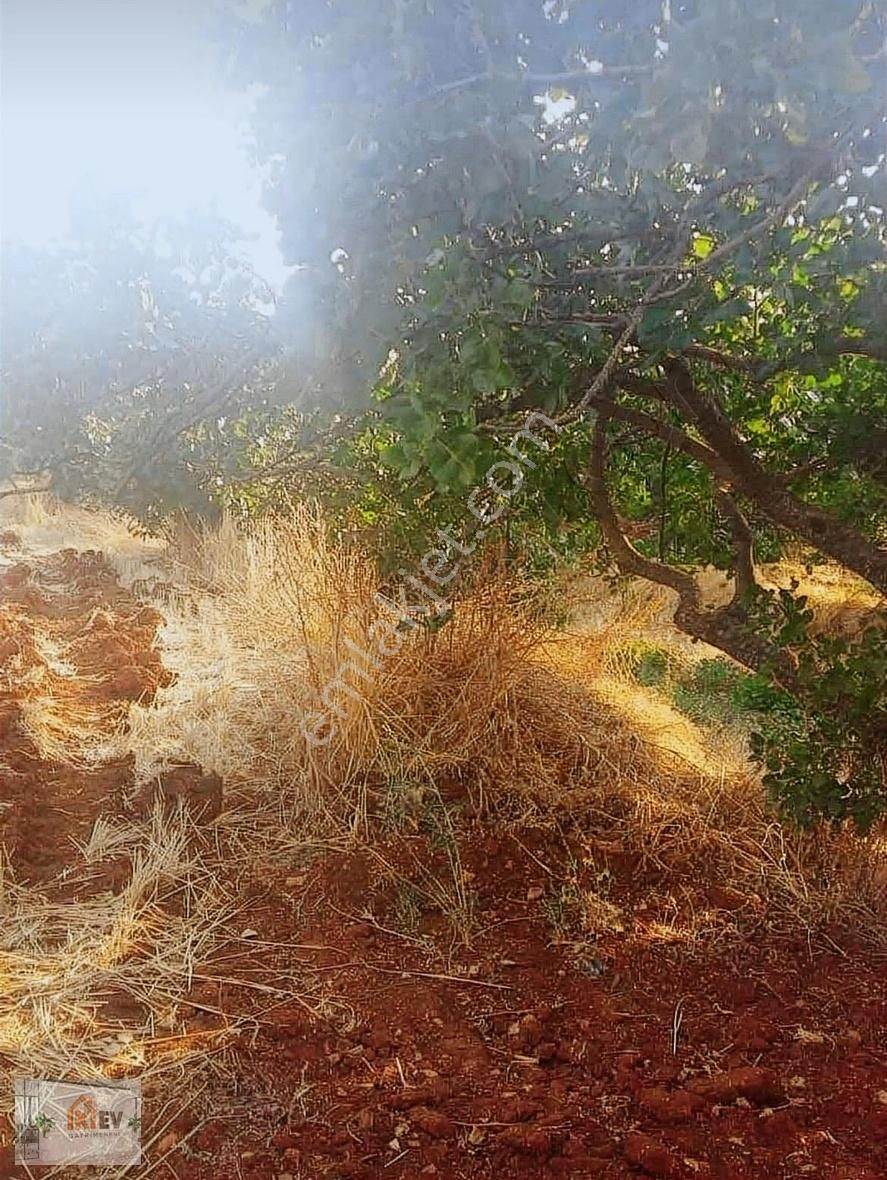 Şahinbey Geneyik Satılık Tarla İkiev Gayrimenkul Den Geneyik De Yatırımlık 285 M2 Bağ Arazi