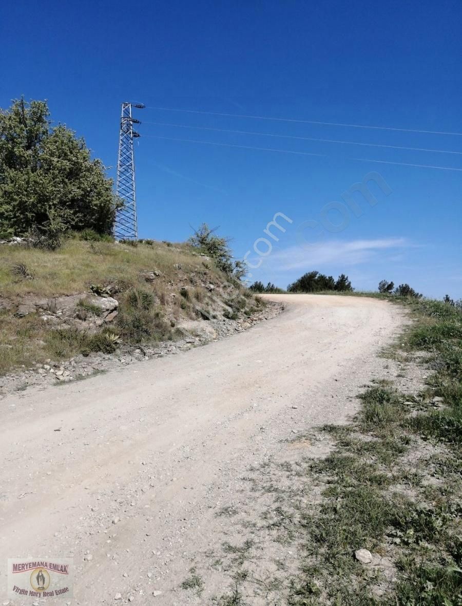 Selçuk Acarlar Satılık Tarla İZMİR SELÇUK ACARLAR BÖLGESİ 11.395M2 ZEYTİNLİK SATILIKTIR