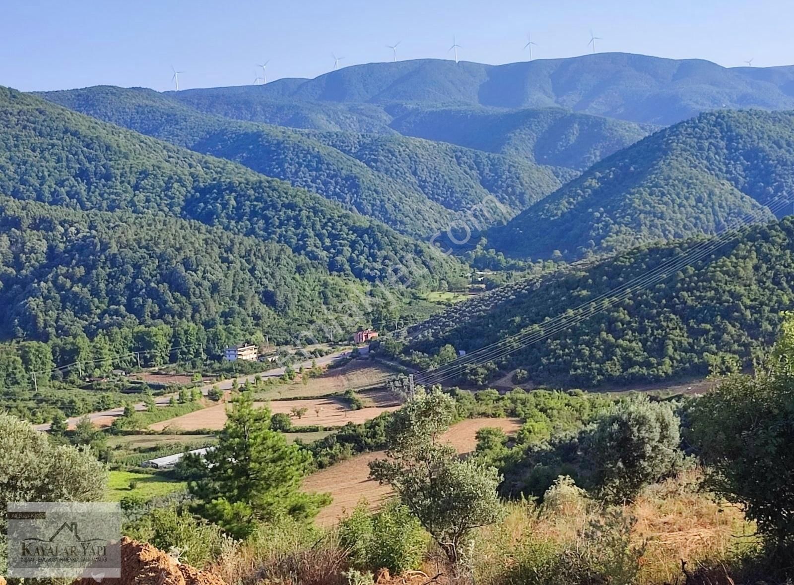 Çınarcık Şenköy Köyü Satılık Konut İmarlı Yalova Şenkoy de Satılık Arsa