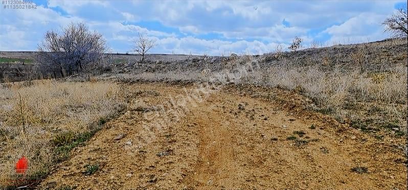 Meram Karadiğinderesi Satılık Bağ & Bahçe  Pamukcu Arkası Tokiye 1km mesafede 1888m2 Müstakil Satılık Bahçe