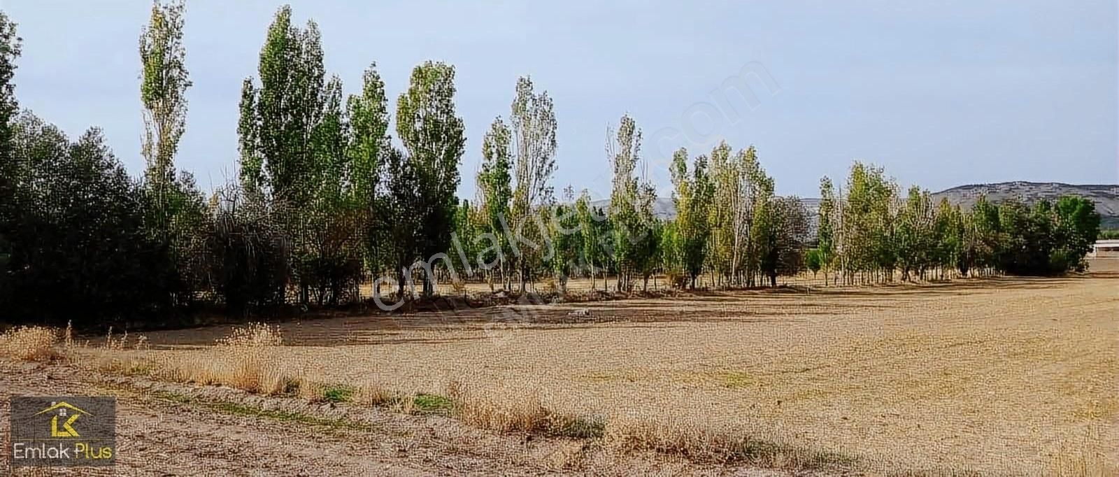 Sivas Merkez Serpincik Köyü Satılık Bağ & Bahçe Emlak Plus'tan Serpincik Te Muhteşem Konumda Tarla