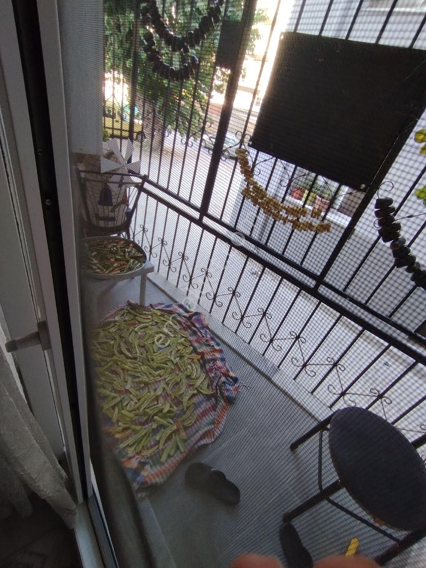 Aydın Söke Konak Mah. Doğalgazlı Satılık 2+1 Yüksek Giriş Daire - Görsel 2