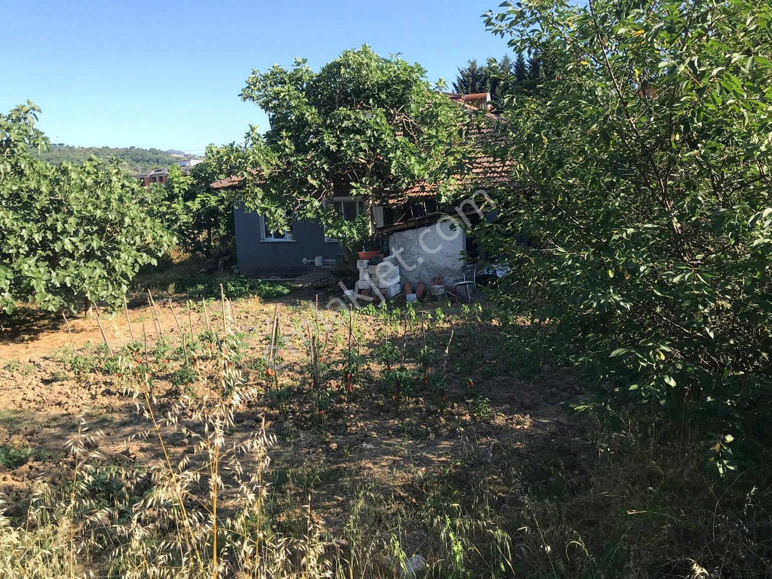 Yalova Merkez Kadıköy Bld. (Merkez) Satılık Ticari İmarlı Acil satılık