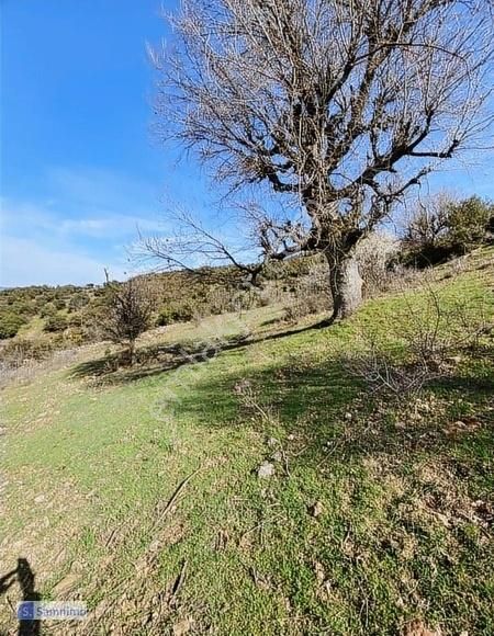 Altıeylül Yeşiller Satılık Tarla Samnimodan Satılık Arazi