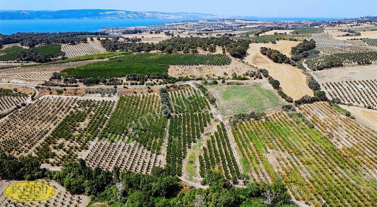 Çanakkale Merkez Yapıldak Köyü Satılık Tarla ÇANAKKALE MERKEZ YAPILDAK KÖYÜNDE SATILIK TARLA