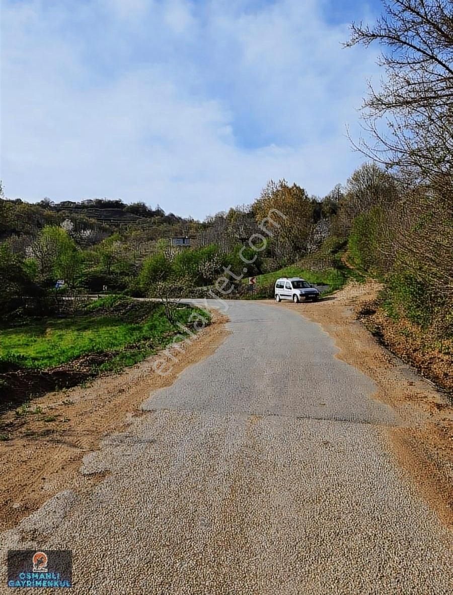 Yenişehir Kirazlıyayla Satılık Tarla Hesaplı Satılık Arazi