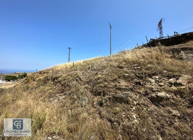 Karaburun Sarpıncık Köyünde Deniz Ve Doğa Manzaralı Tarla - Görsel 7