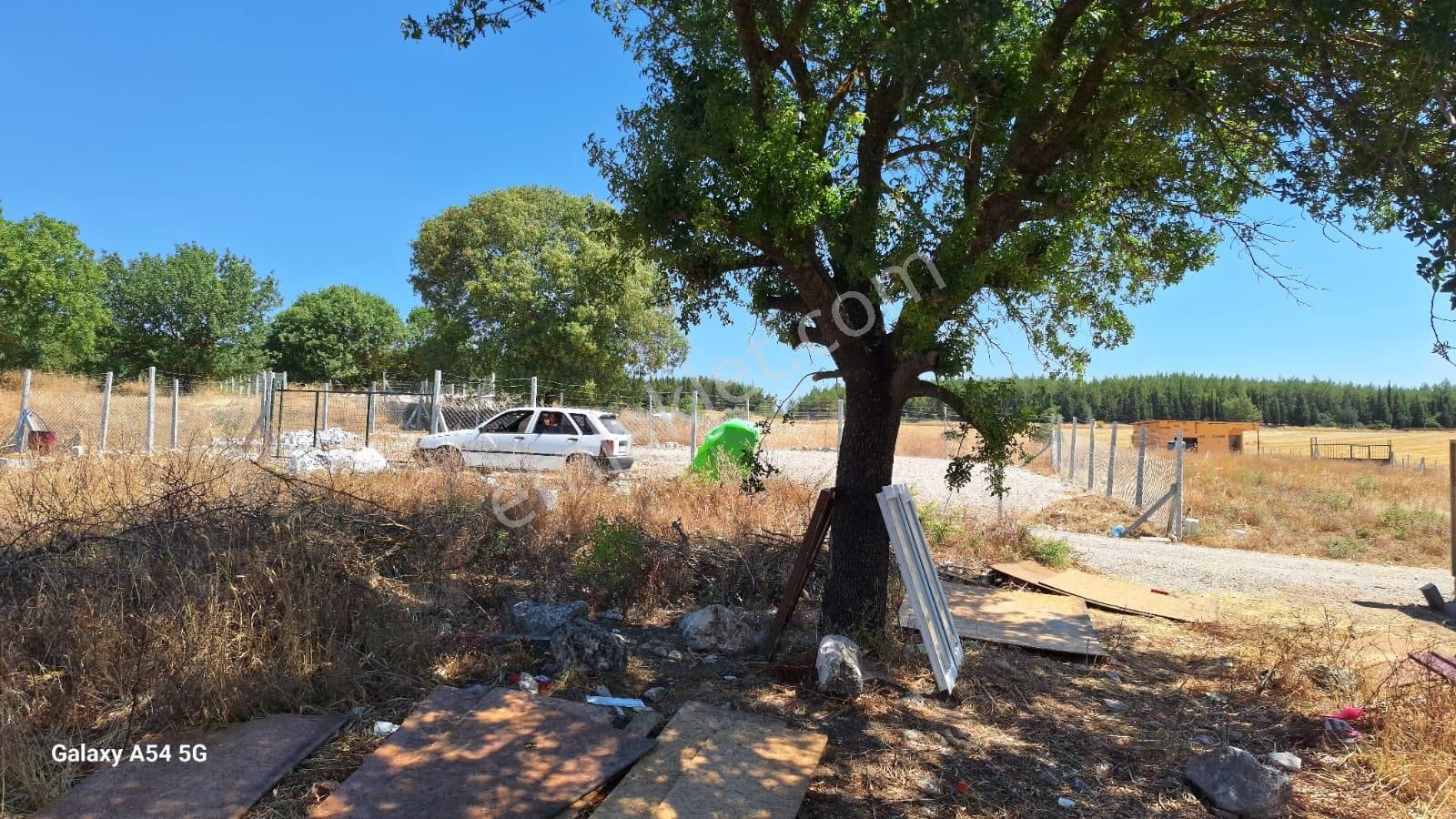 Çook Acil Menderes Gölcüklerde 300m2 Resmi Tapulu Fırsat Bahçeli Tarla - Görsel 6