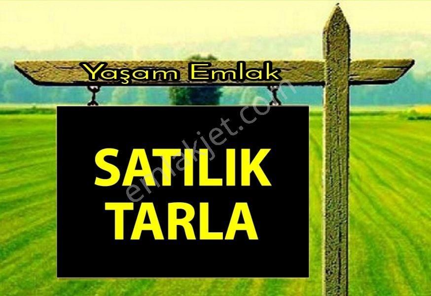 Karaman Merkez Yeşildere Köyü (Denircik) Satılık Tarla  YAŞAM'DAN YEŞİLDERE KÖYÜNDE SATILIK 1645 M2 SULAK TARLA