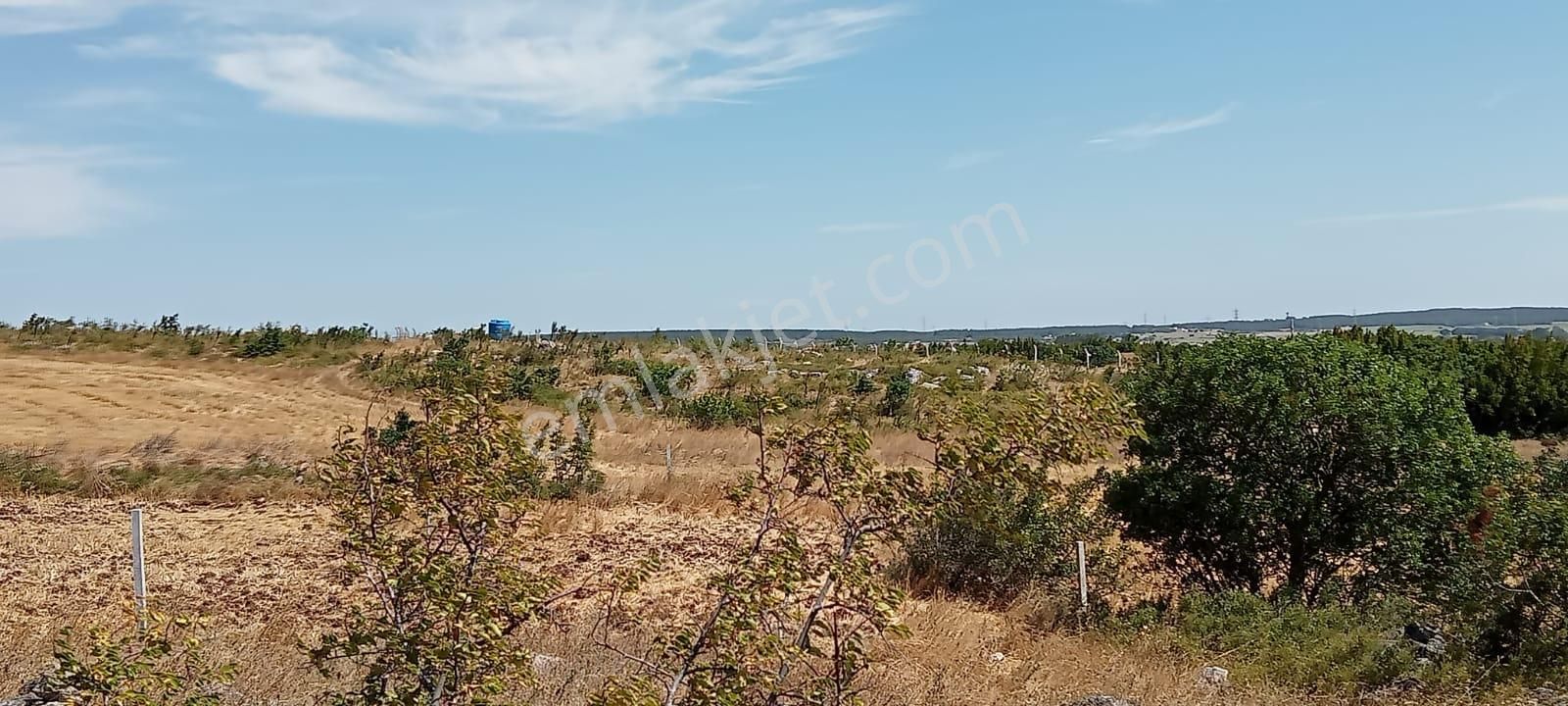 Vize Evrenli Köyü Satılık Bağ & Bahçe  KIRKLARELİ VİZE EVRENLİ KÖYE YAKIN BAĞ-BAHÇE-HOBİ BAHÇESİ 240 M2 PARSEL