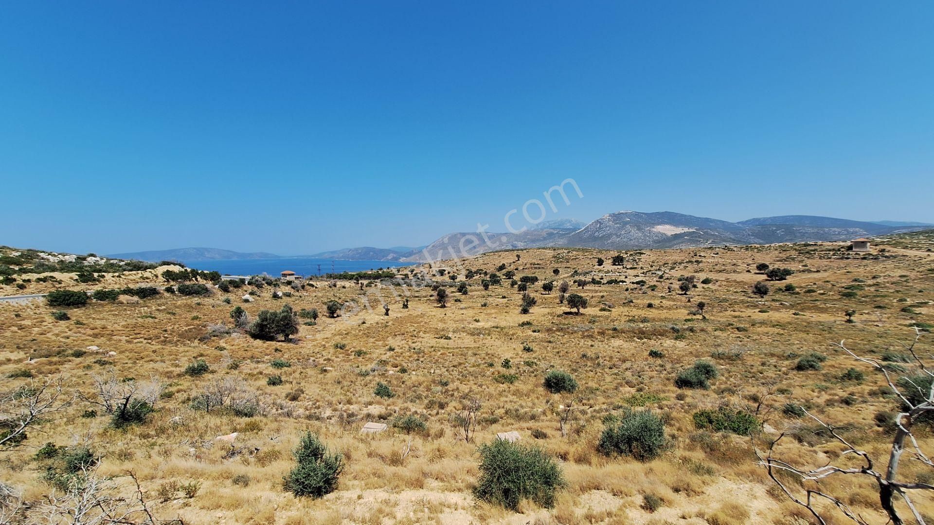 Çeşme Ildır Satılık Sit Alanı  ÇEŞME İLKO KONUT YAPI KOOPERATİFİ'NDE SATILIK ARSA