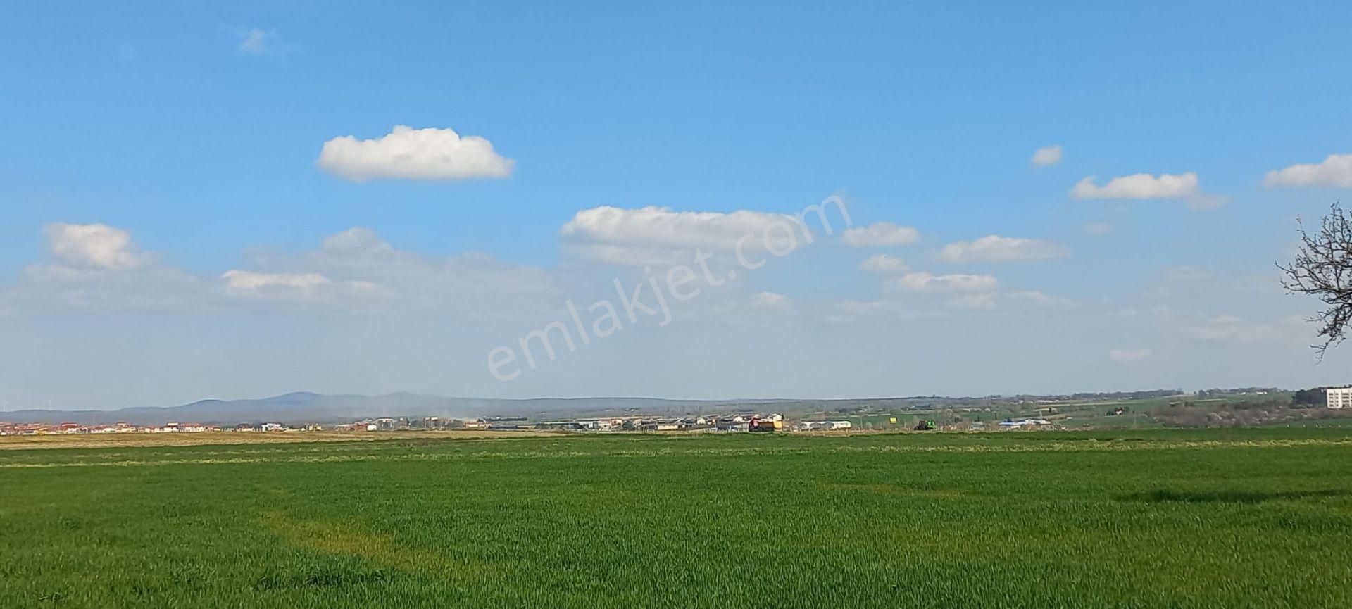 Kırklareli Vize Evrenli Sultanlar Mevkii Araç Takaslı 379 M2 Bağ-bahçe
