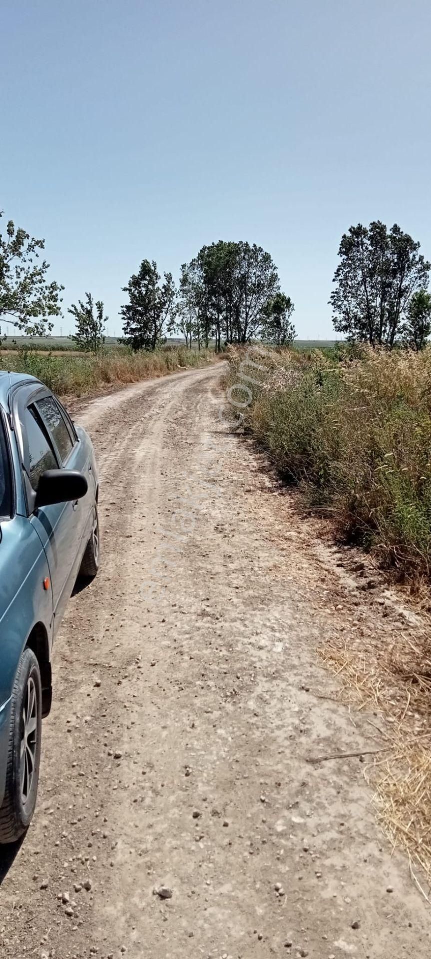 Kırklareli Vize Evrenli Sultanlar Mevkii Araç Takaslı 379 M2 Bağ-bahçe
