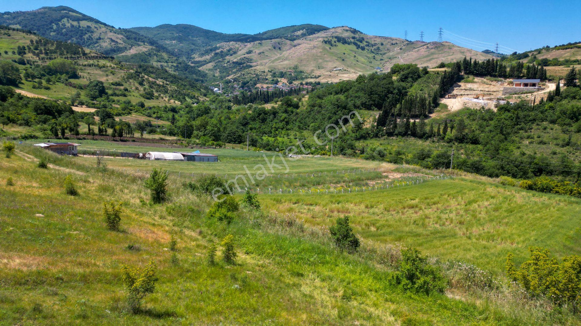 Kocaeli Karamürsel Kızderbent Satılık %5 İmarlı 1604 M2 Tarla - Görsel 6