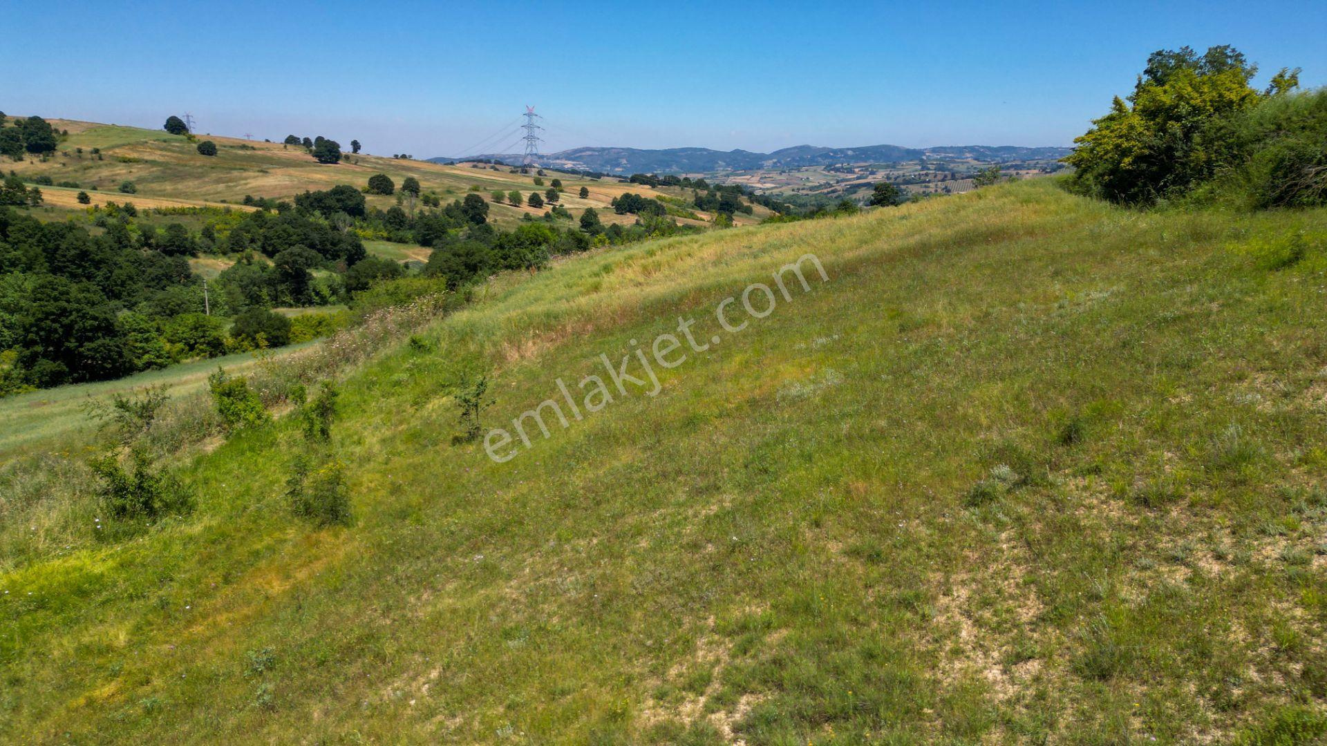 Kocaeli Karamürsel Kızderbent Satılık %5 İmarlı 1604 M2 Tarla - Görsel 9