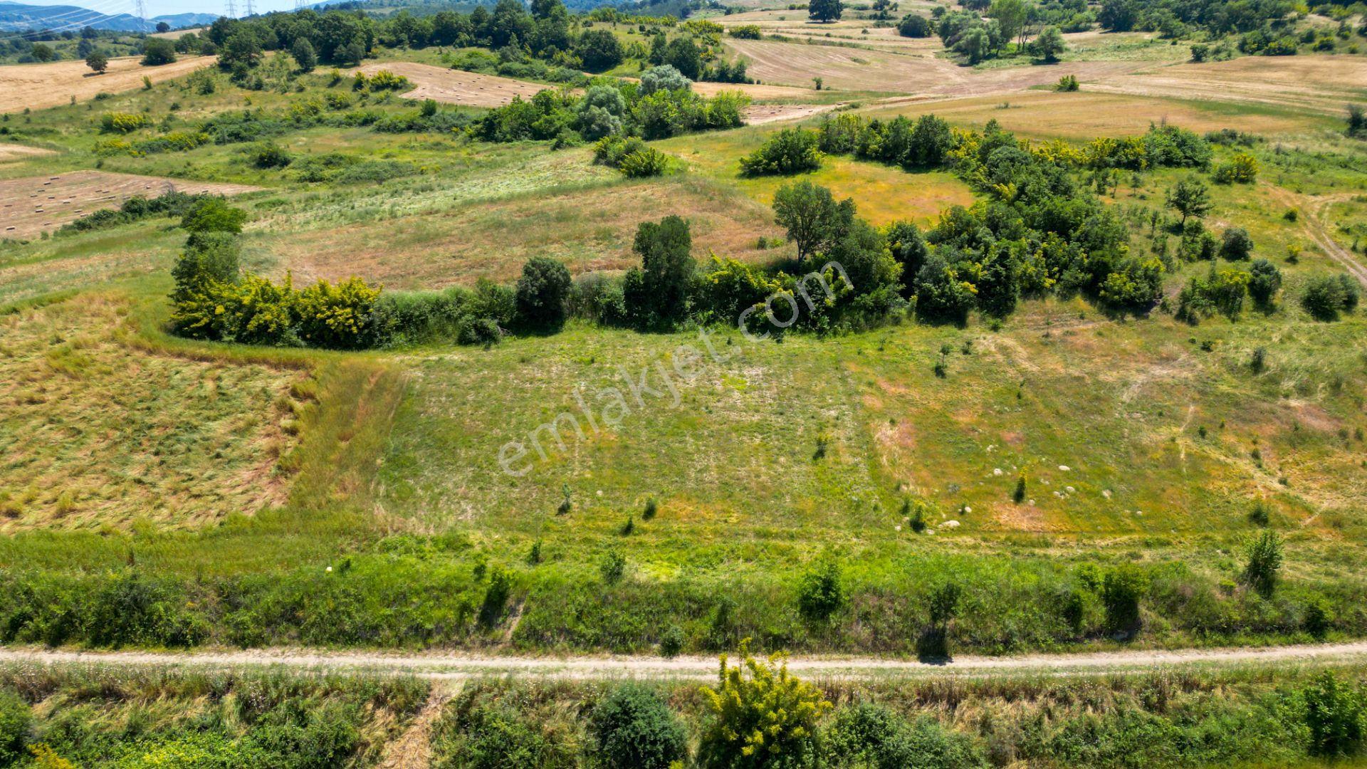 Kocaeli Karamürsel Kızderbent Satılık %5 İmarlı 1604 M2 Tarla - Görsel 3