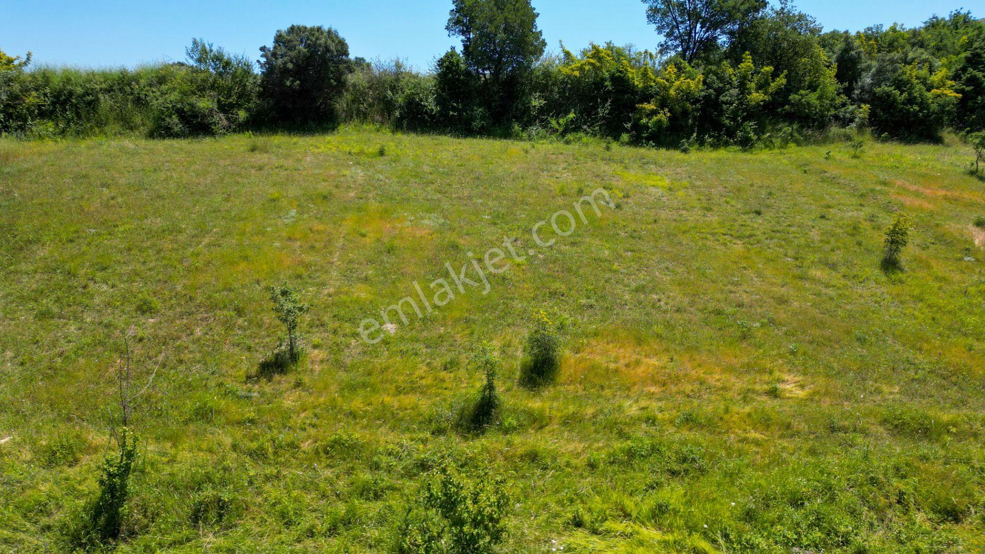 Kocaeli Karamürsel Kızderbent Satılık %5 İmarlı 1604 M2 Tarla - Görsel 5