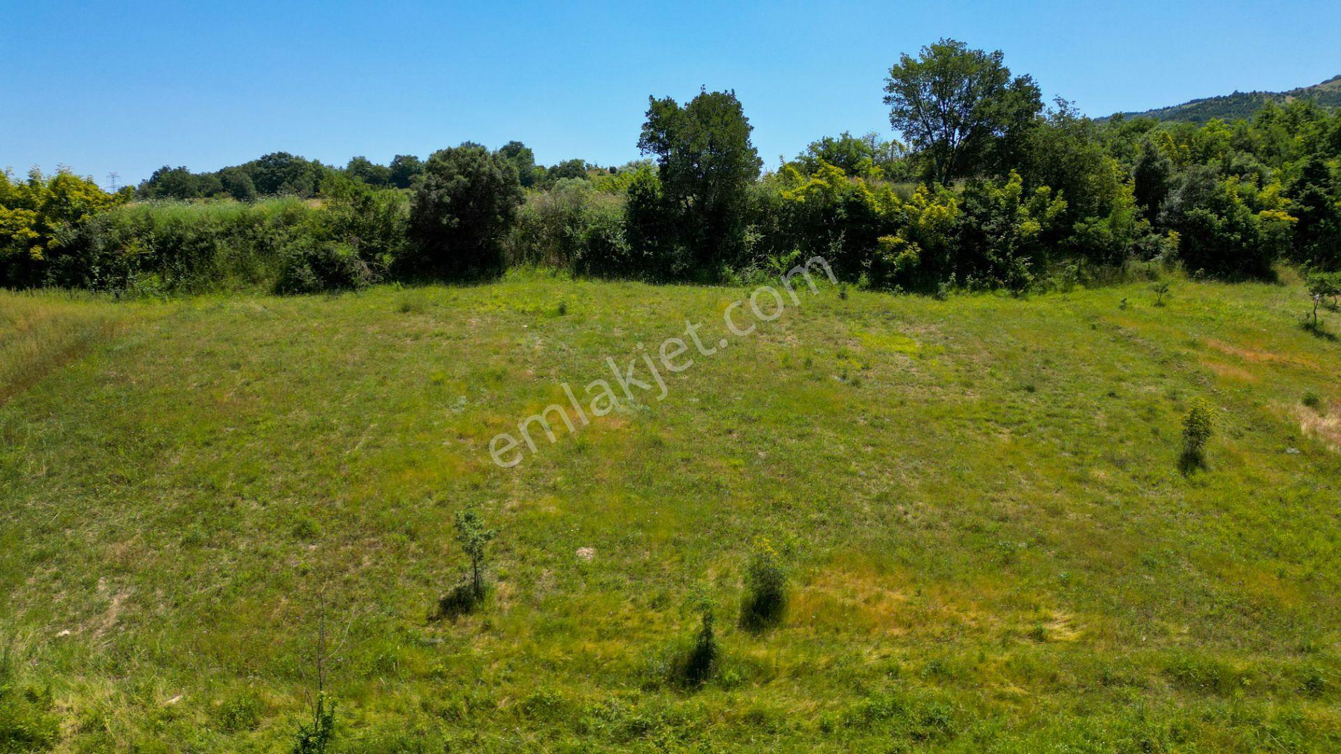 Kocaeli Karamürsel Kızderbent Satılık %5 İmarlı 1604 M2 Tarla - Görsel 10