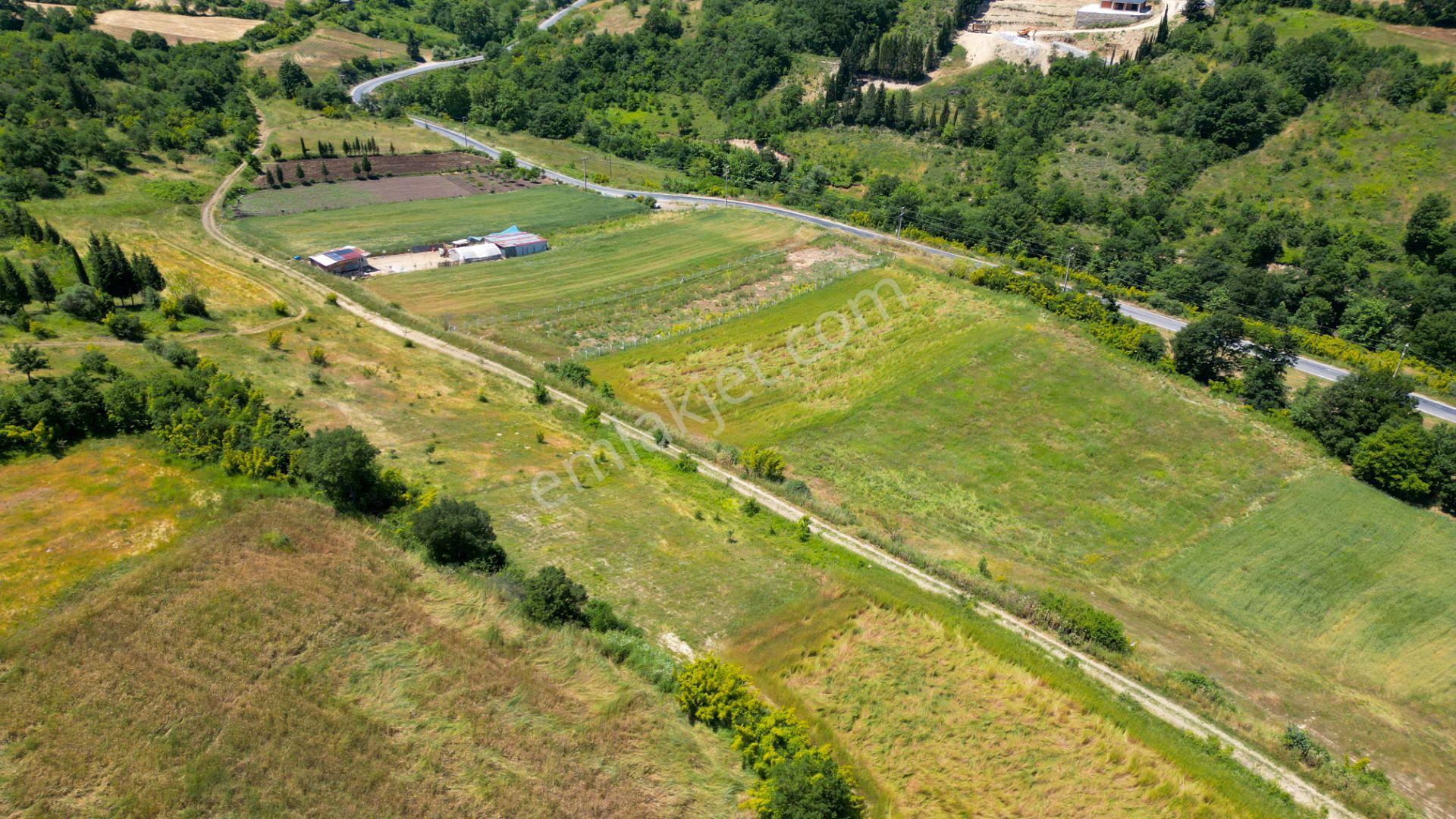 Kocaeli Karamürsel Kızderbent Satılık %5 İmarlı 1604 M2 Tarla - Görsel 11