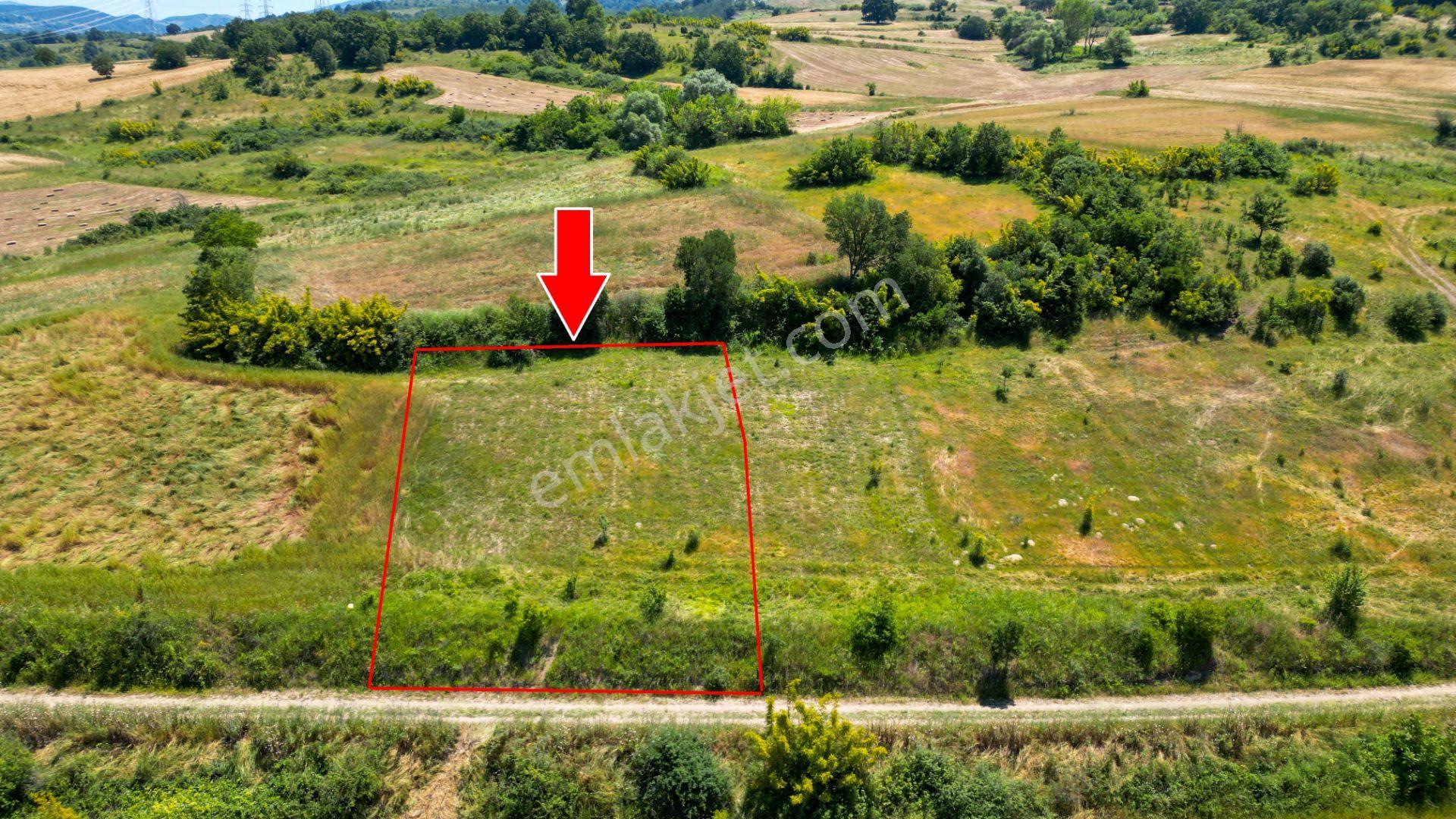 Kocaeli Karamürsel Kızderbent Satılık %5 İmarlı 1604 M2 Tarla
