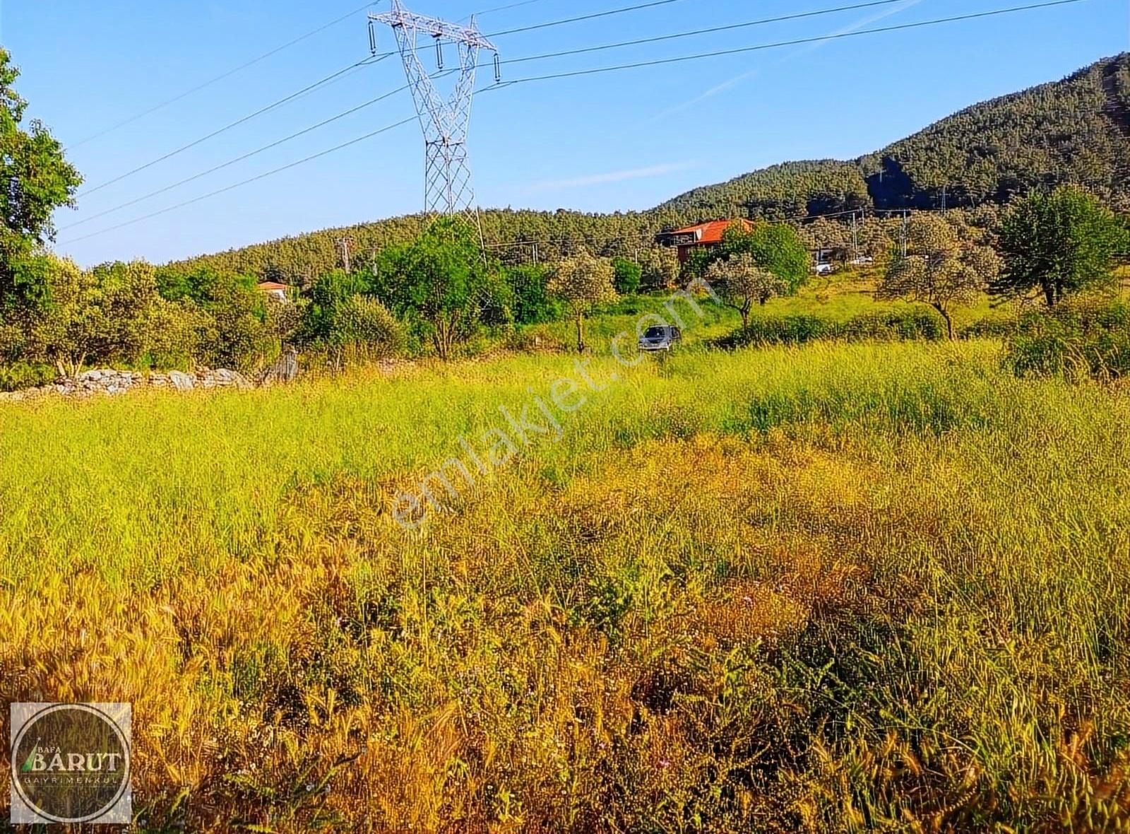 Milas Kızılağaç Köyünde Mustakil Ev Kacmaz Fırsat - Görsel 6