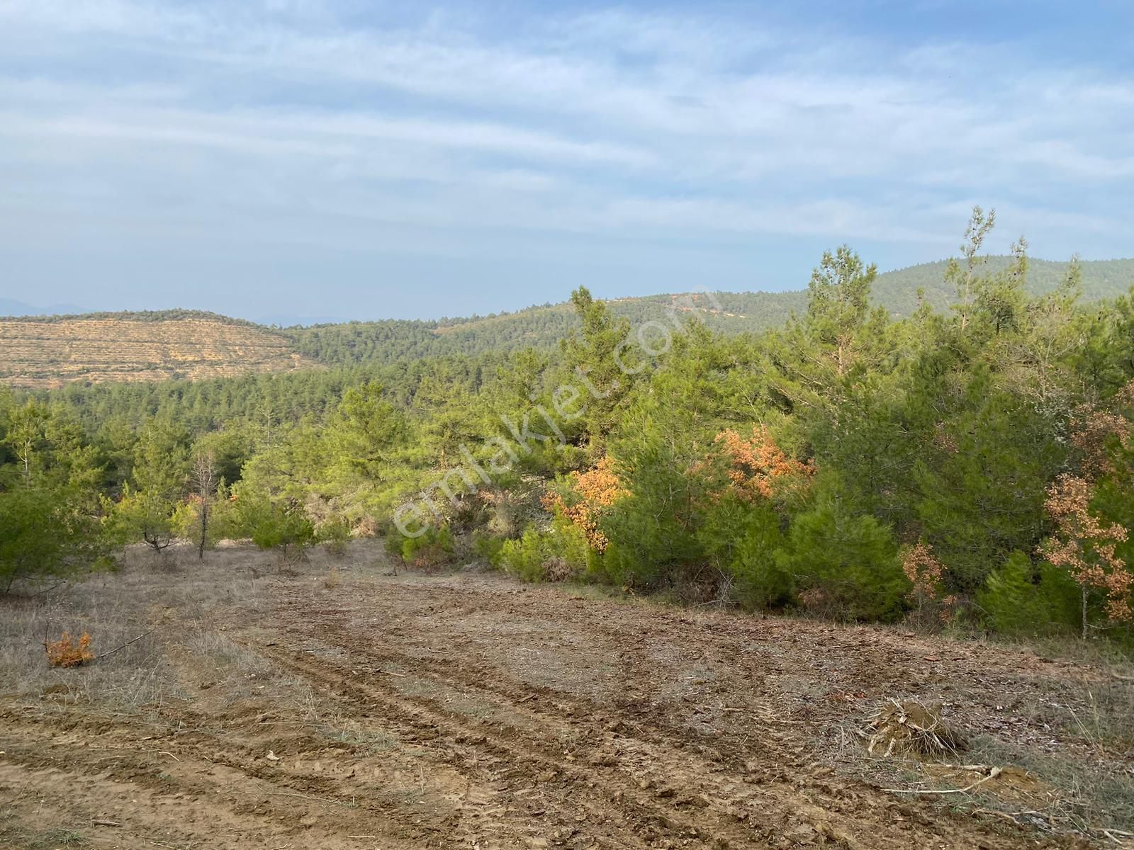 Osmaneli Medetli Köyü Satılık Tarla Medetli Köyünde 3420 M2 Yatırımlık Tarla