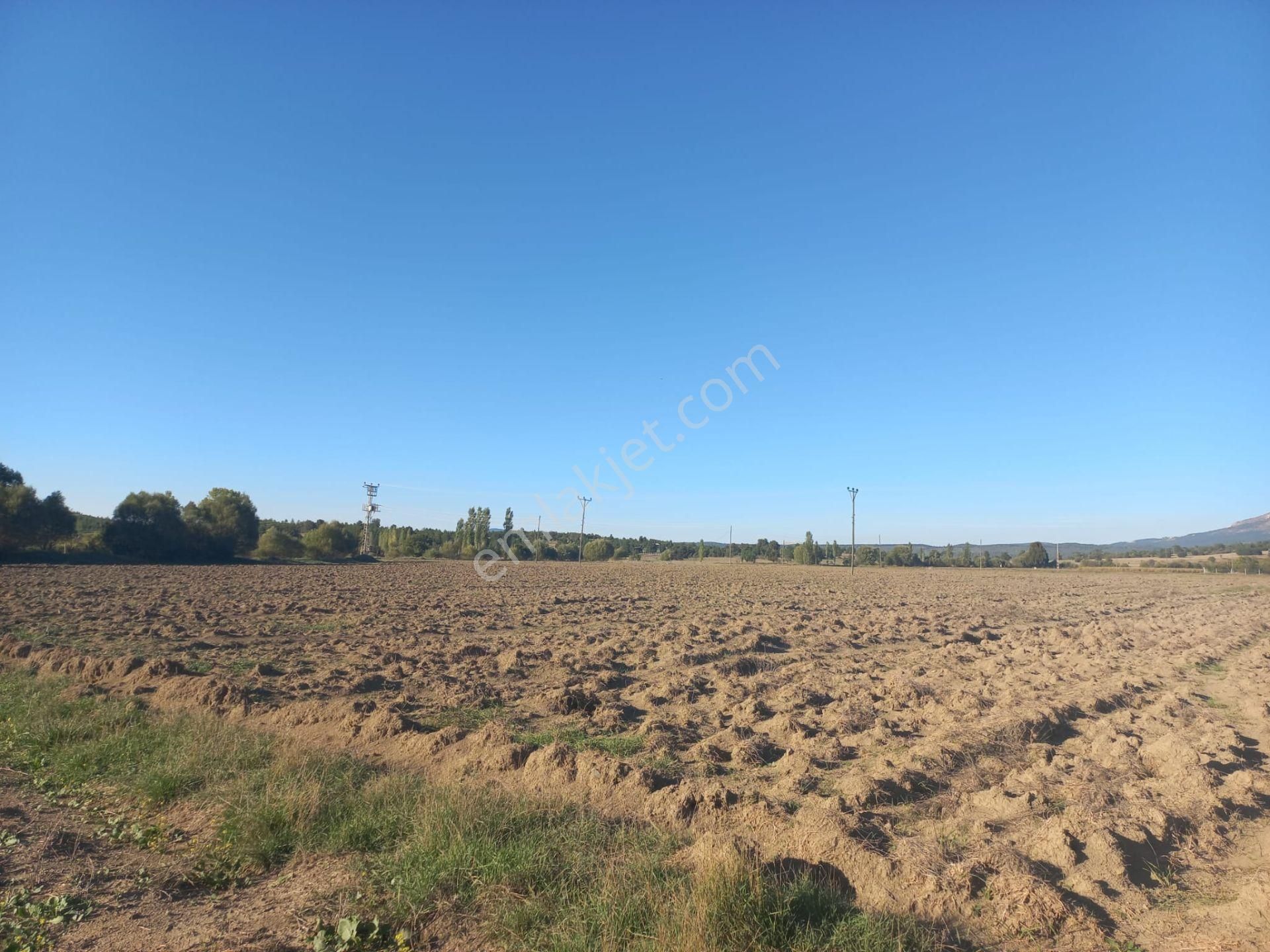 Burdur Merkez Bozlar Köyü Satılık Tarla  Burdur Bozlar Köyü 3 Sondajlı Yola Yakın 18.777 m2 Tarla