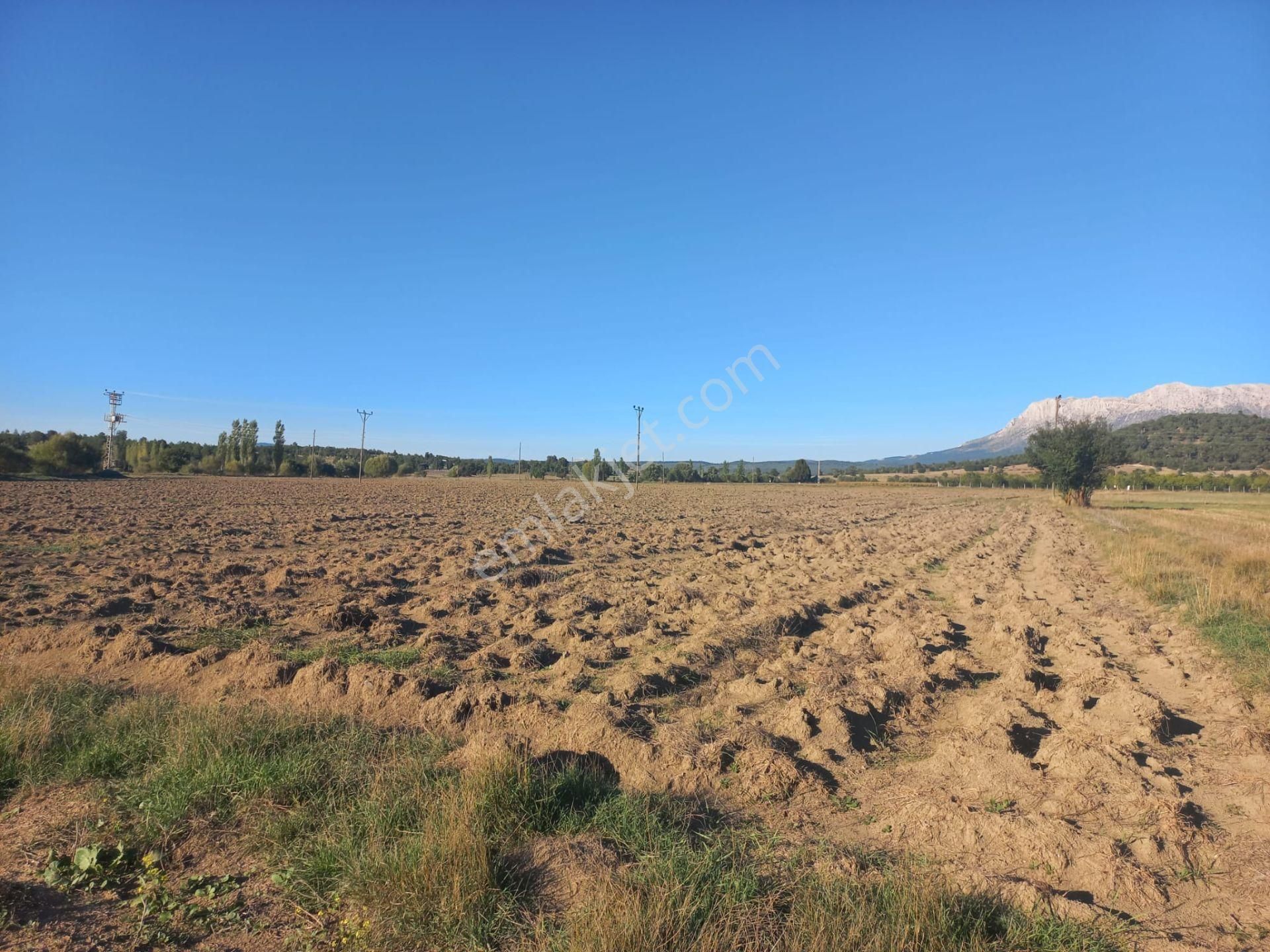 Burdur Bozlar Köyü 3 Sondajlı Yola Yakın 18.777 M2 Tarla - Görsel 11