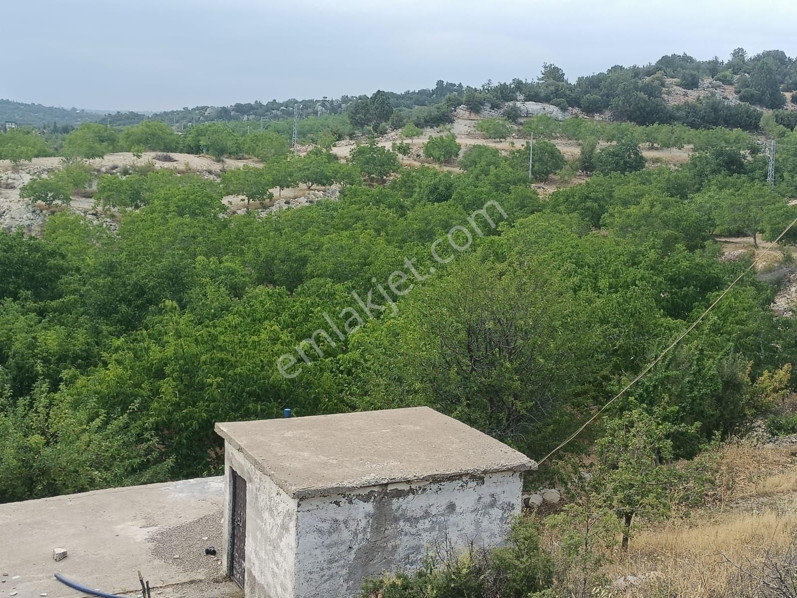 Aydıncık Emlaktan Satılık Bahçe 26dönüm - Görsel 12