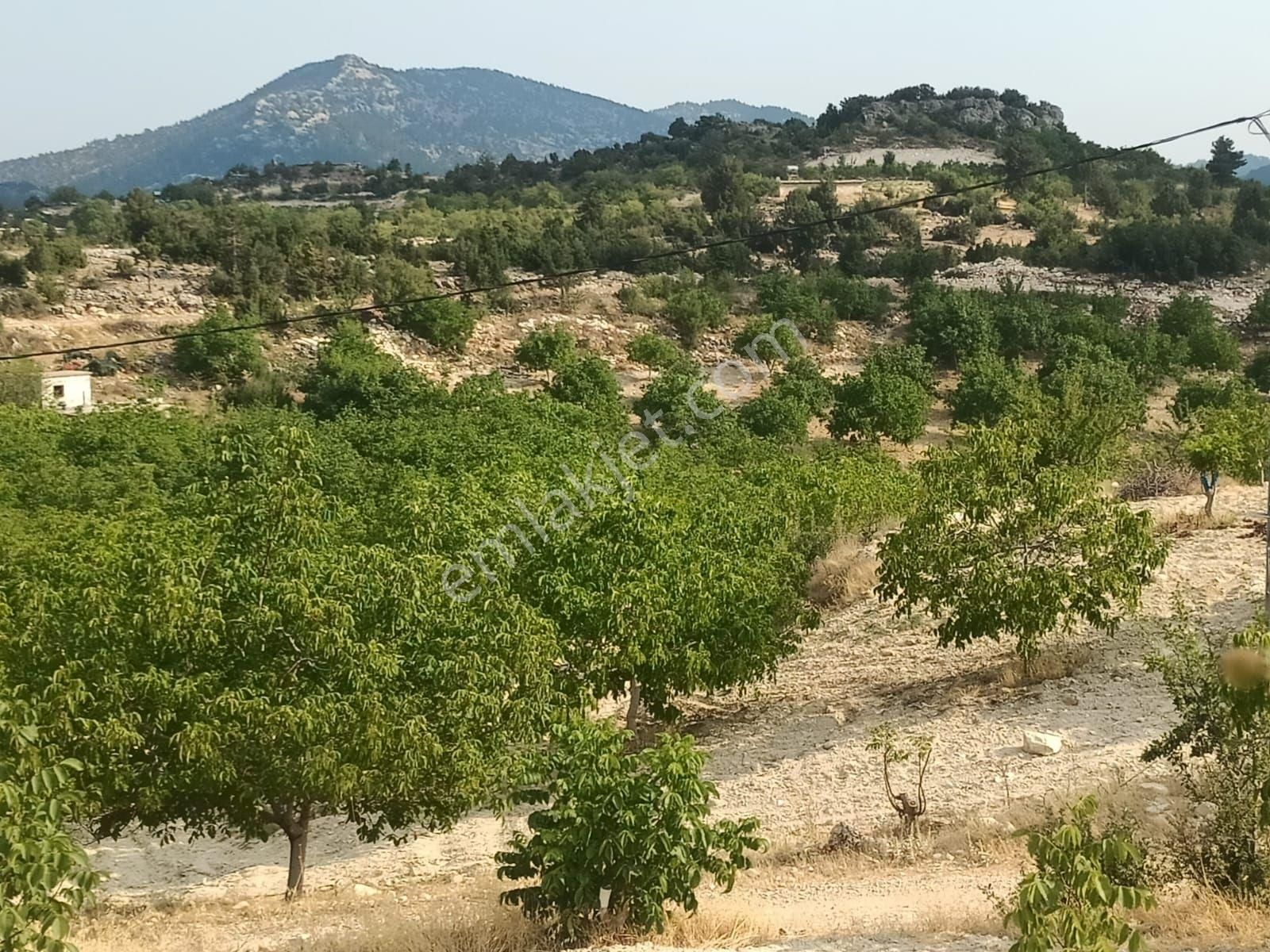 Aydıncık Emlaktan Satılık Bahçe 26dönüm - Görsel 3