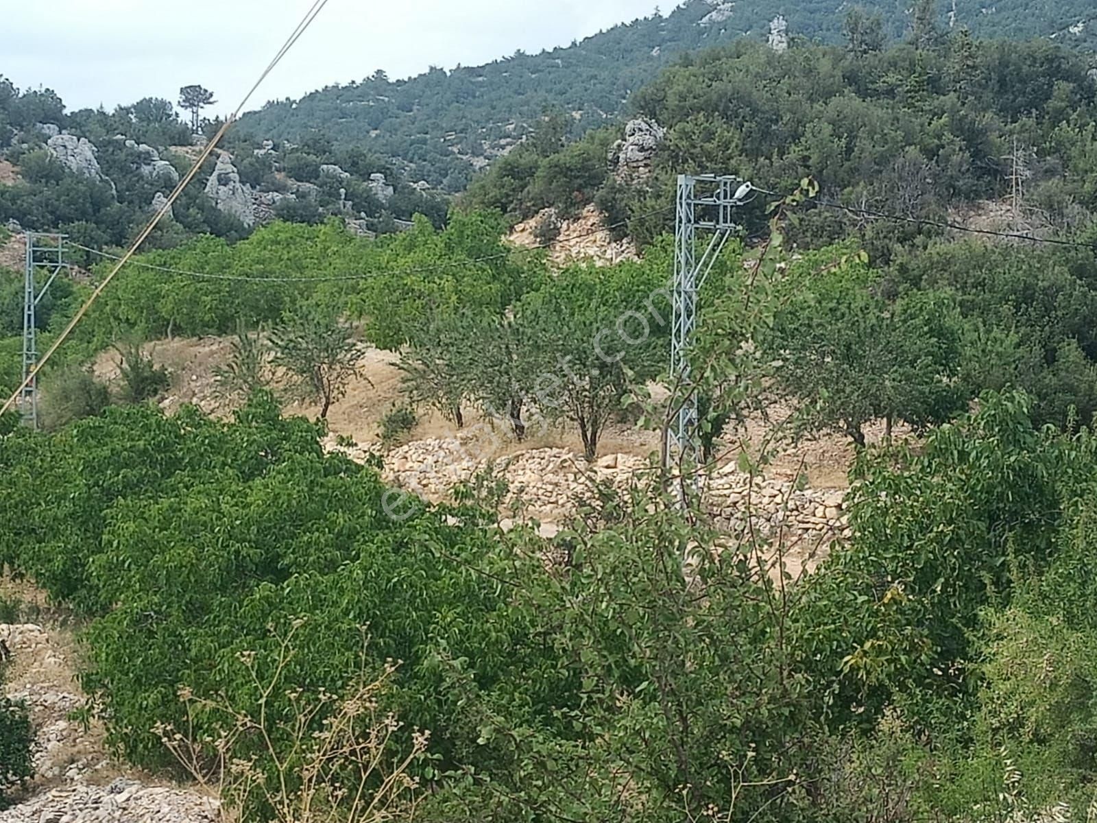 Aydıncık Emlaktan Satılık Bahçe 26dönüm - Görsel 32