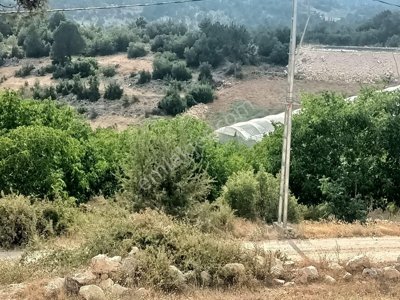 Gülnar Göktürk Satılık Tarla AYDINCIK EMLAKTAN SATILIK BAHÇE 26DÖNÜM